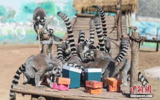 26ɽ|h(hun)βá͡(ji)RҰĹˆT_ʼk͡ӛ  z