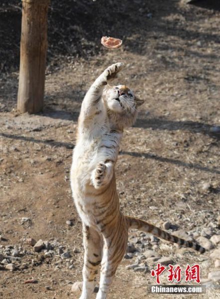 26ɽ|ϣu(ji)RҰĹˆT_ʼk͡ ӛ  z