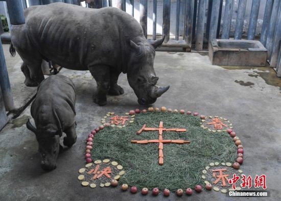 26ɽ|ϣϬţá͡(ji)RҰĹˆT_ʼk͡ ӛ  z