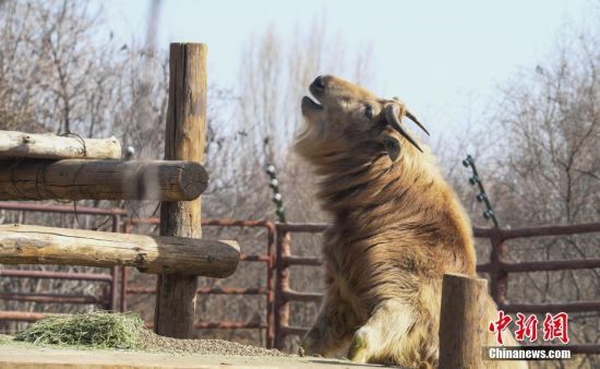 26ɽ|ëţ_족Դ͡(ji)RҰĹˆT_ʼk͡ ӛ  z