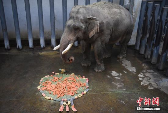 26ɽ|ùߡ\(ji)RҰĹˆT_ʼk͡ ӛ  z