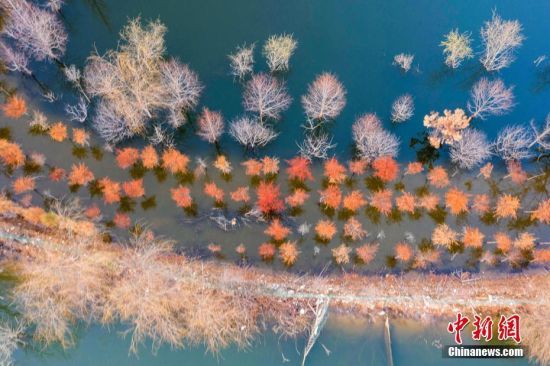 202132ɽ|u^(q)`ɽֵСɽˮ߅ϵһB(ti)ﴺ;ˮp@ߔ̶˵ľ^ľеB(ti)ˡ DƬԴҕXЇ