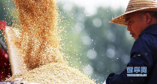 ɽ|ʡr(nng)I(y)r(nng)d@Ϥ61ɽ|5985fС_ʼի@A(y)Ӌꡰġɽ|ꇸr(nng)I(y)Cе150f_Al(f)( z)