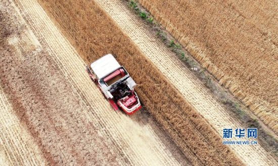 ɽ|ʡr(nng)I(y)r(nng)d@Ϥ61ɽ|5985fС_ʼի@A(y)Ӌꡰġɽ|ꇸr(nng)I(y)Cе150f_סAl(f)( z)