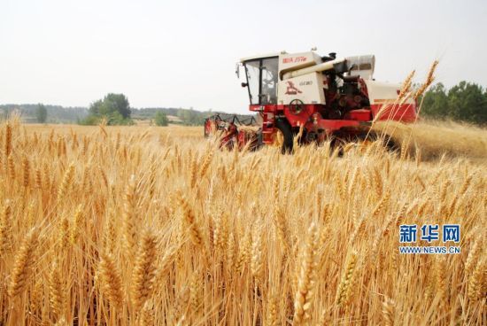 ɽ|ʡr(nng)I(y)r(nng)d@Ϥ61ɽ|5985fС_ʼի@A(y)Ӌꡰġɽ|ꇸr(nng)I(y)Cе150f_סAl(f)( z)