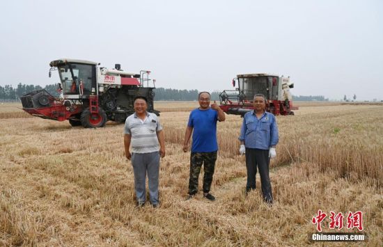 山東曲阜糧農(nóng)抓緊搶收小麥