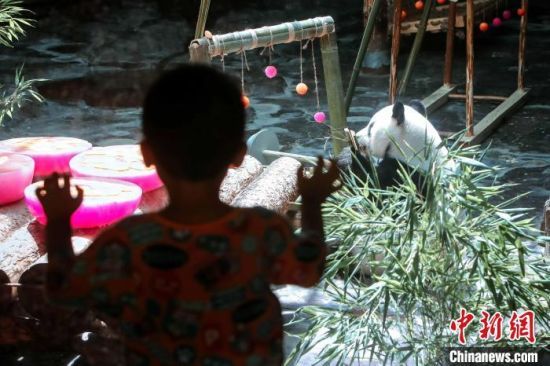 Ұ؈ϲӭ11ܚqmh z