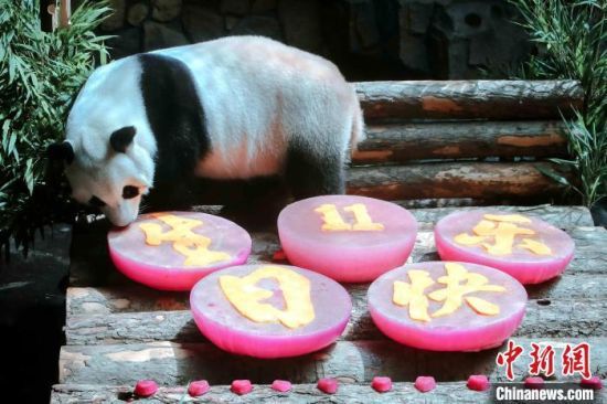 Ұ؈ϲӭ11ܚqmh z