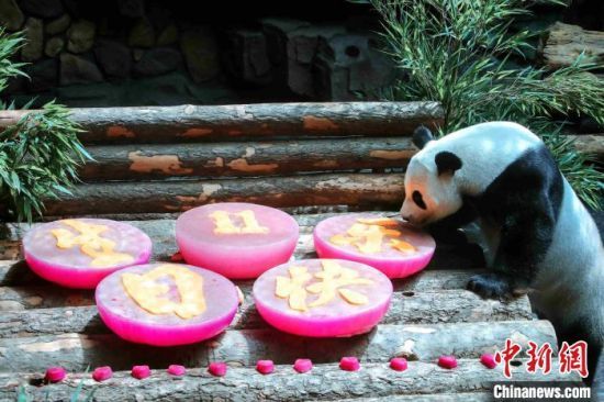 Ұ؈ϲӭ11ܚqmh z