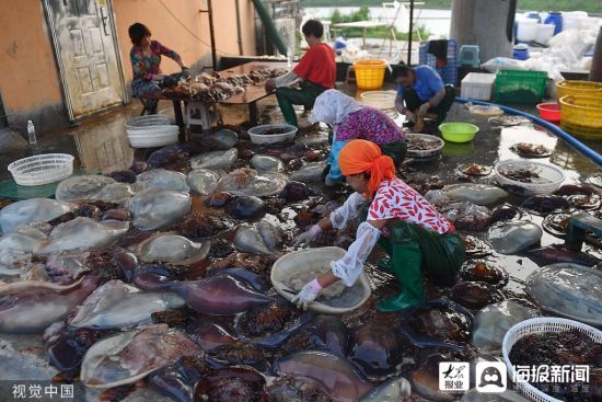  202181գʢĕr(sh)(ji)ɽ|ʡuг(yng)^(q)tuSؼӹI(y)M(jn)a(chn)N(dng)?sh)؝O÷ץr(nng)r(sh)ӾoơӹM(jn)a(chn)ա