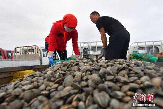 գɽ|ʡuгꖅ^(q)tuOһɷæOץrgϲӭգÿsʮfؐa(chn)ϰͶЈM빤SӹhNƮ?sh)؝OЧաI z