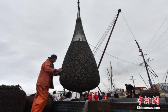 OڝOж¸b܇ͶЈI z