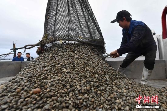 OڝOж¸Mb܇I z