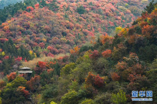 1028գɽ|ϾɽɽtֱMȾɫ( z)