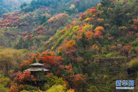 1028ɽ|ϾɽɽtֱMȾɫա( z)