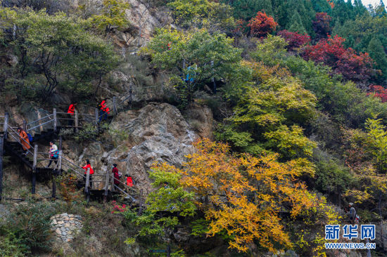 1028գɽ|ϾɽɽtֱMȾɫ( z)