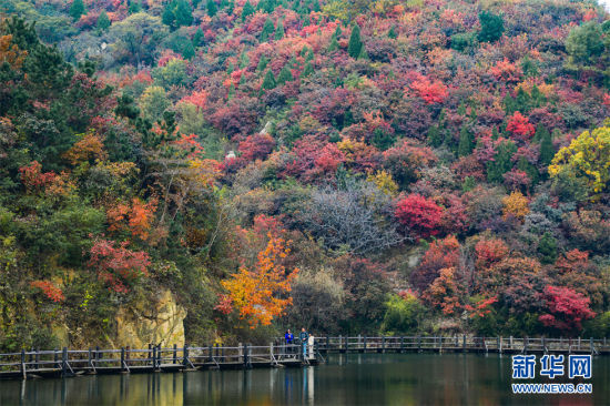 1028ɽ|ϾɽɽtֱMȾɫ( z)