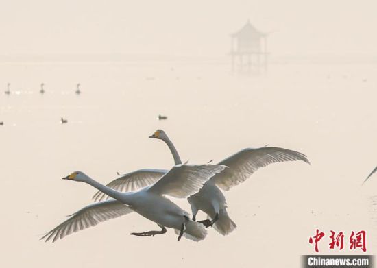 114ɽ|sZZw߮Ғʳž z