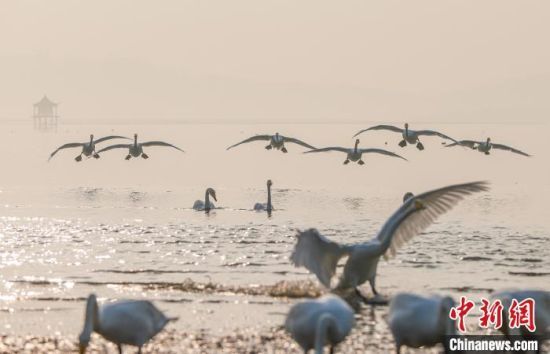 (dng)sZF⏛Zcͤ_(ti)(gu)һˮīL(fng)ž z