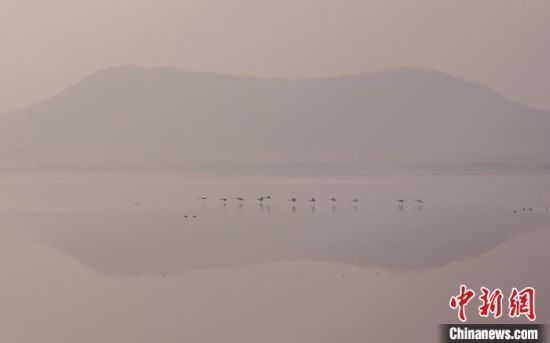 sǁĴZϢ֮һž z