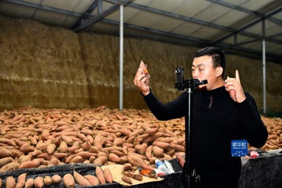 1110գĽhwftr(nng)񌣘I(y)u