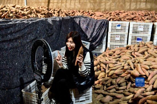 1110Ľhwftr(nng)񌣘I(y)u