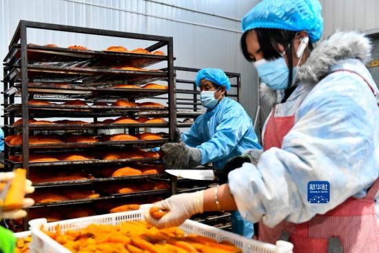 1110գĽhwftr(nng)񌣘I(y)ڼӹƺõ