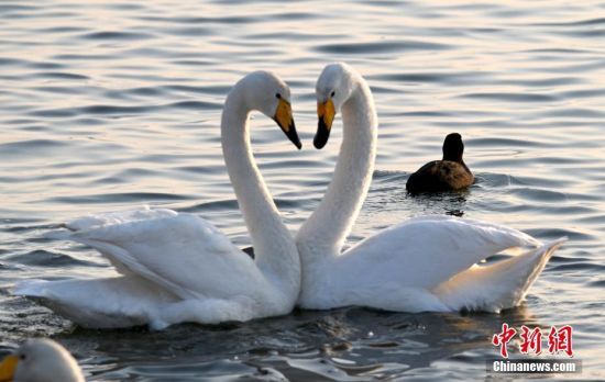 �����Z��ɽ�|�s�ɳ��Йѻ�����������