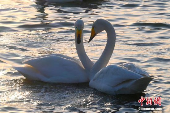 �����Z��ɽ�|�s�ɳ��Йѻ�����������