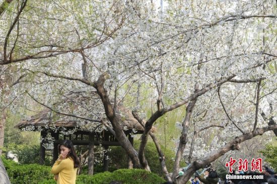 3��20����ɽ�|��(j��)������?zh��)����@����`�ŵęѻ����������^�p�������� ������ӛ�� ���� �z ��