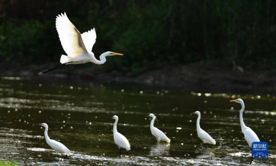 827գɽ|ʡеGґAl(f)־܊z
