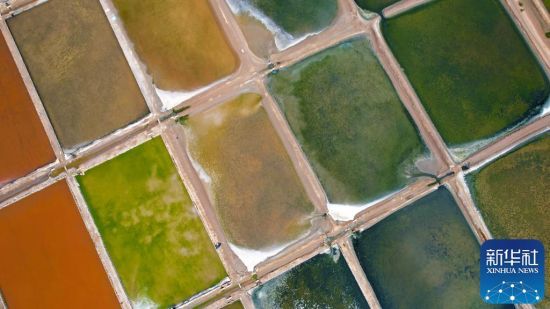 @826Ĕzɽ|ʡsи(zhn)߅һ̎}o˙C(j)Ƭ