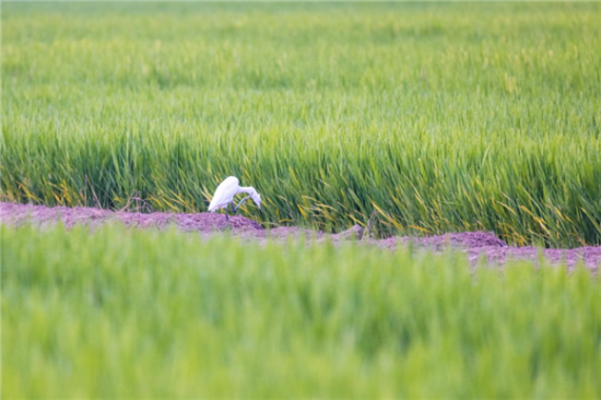 һȺȺw˝(j)Ϻɻ·ֵl嵾[Ғʳ