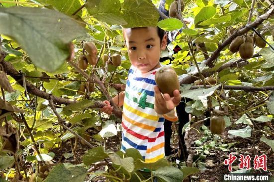 ͯګJ҈@(ni)wժѦ z