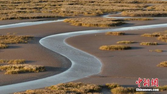 1017գɽ|ʡ|I(yng)S̎ӭ(li)^p