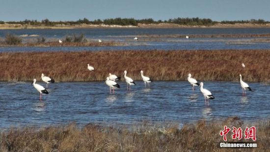 1017ȺĖ|XSޝ؃(ni)ґҒʳ  z