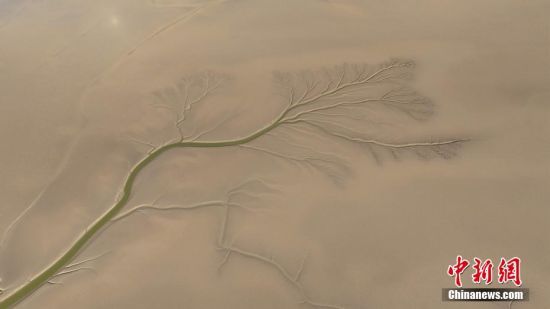 1017ɽ||I(yng)S̎F(xin)ġϫ(sh)  z