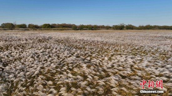 ÿ10-11Sӿݶĕr(sh)ƻǻѩѩɞһ(d)L(fng)ǰ(li)档  z