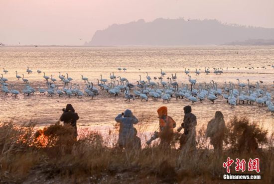 �����Z���������ο�ǰ�����մ��� ���ž� �z