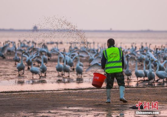 �s�ɴ����Z��(gu��)�Ҽ�(j��)��Ȼ���o(h��)�^(q��)�Ĺ����ˆT�ڴ����Z����Ғʳ�Ļ��A(ch��)����ÿ�춨�r(sh��)Ͷι�� ���ž� �z