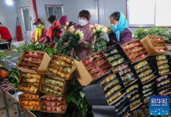 1123ɽ|ʡRmɽ^(q)ֵļҴõNֲڰb܇g(ni)턂ժõ廨