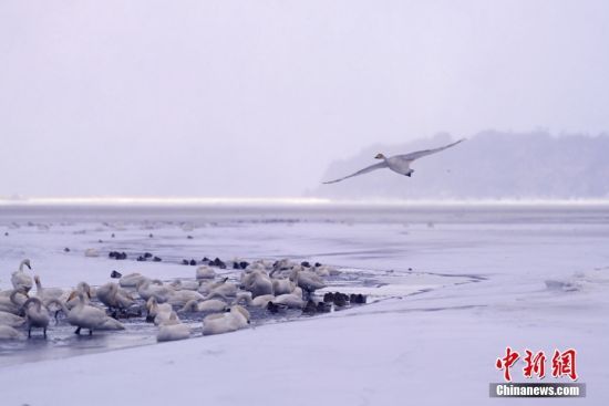 124ɽ|ʡsӭ(ji)׈(chng)OؽѩZڇ(gu)Ҽ(j)Ȼo(h)^(q)ZϱѩЗϢ߮w l(f) ־Y z