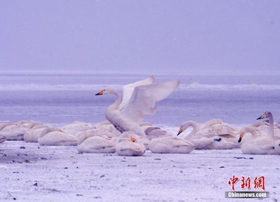 124ɽ|ʡsӭ(ji)׈(chng)OؽѩZڇ(gu)Ҽ(j)Ȼo(h)^(q)ZϱѩЗϢ߮w l(f) ־Y z