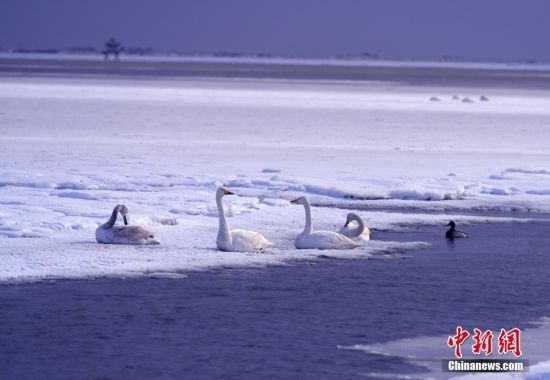 124ɽ|ʡsӭ(ji)׈(chng)OؽѩZڇ(gu)Ҽ(j)Ȼo(h)^(q)ZϱѩЗϢ߮w衣 l(f) ־Y z