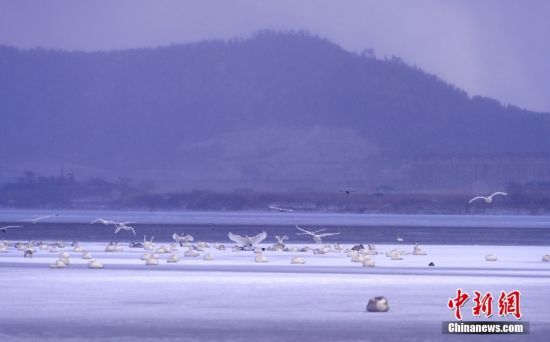 124ɽ|ʡsӭ(ji)׈(chng)O⣬ؽѩZڇ(gu)Ҽ(j)Ȼo(h)^(q)ZϱѩЗϢ߮w l(f) ־Y z