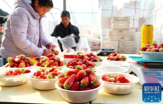 216ɽ|ʡ|ƽho}񌢲ժĲݮMзQAӛ L z