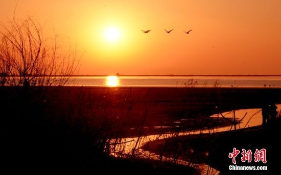 226Zɽ|sɳɽZw衣