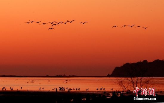 226Zɽ|sɳɽZw衣