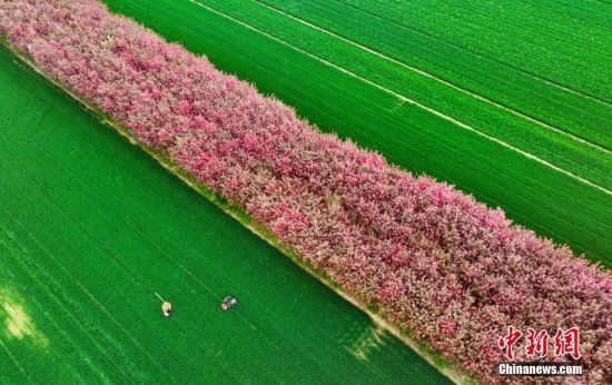 43ɽ|ʡĳЖ|^(q)Z½ֵSͥr(nng)[GĻGl(xing)崺ⰻȻ