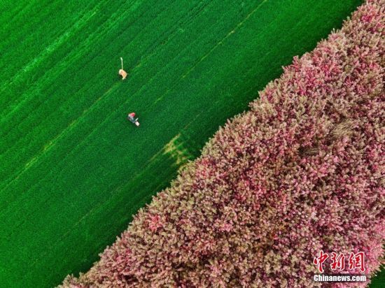 43գɽ|ʡĳЖ|^(q)Z½ֵSͥr(nng)[GĻGl(xing)崺ⰻȻ